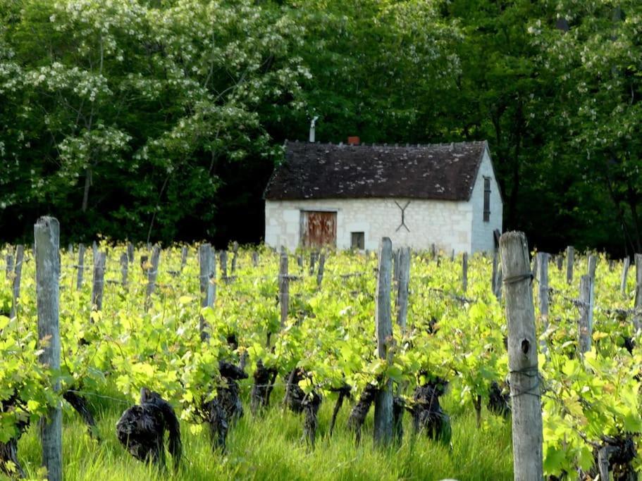 Maison De Bourg Paisible Parcay-sur-Vienne Exterior foto